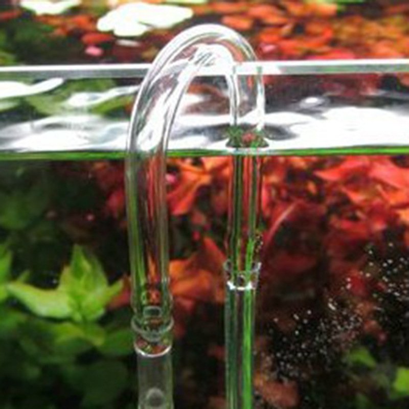 Deep Aqua Szklana U-Rurka 15mm